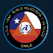 Emblema institucional de ONG USAR Ñuble